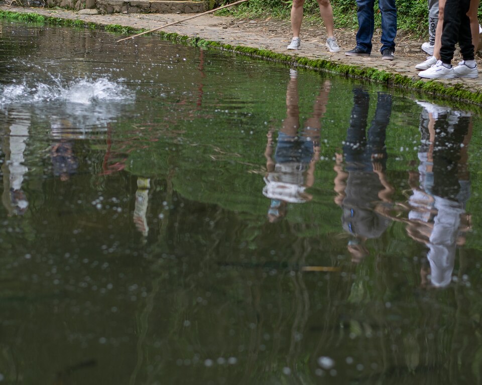 Fresh rainbow trout prepared at a local restaurant in Jardín, Colombia
